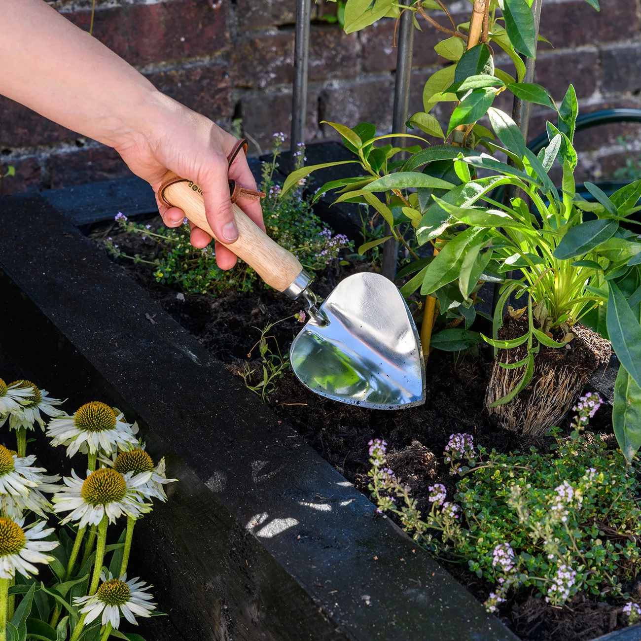 Burgon & Ball RHS Planting Trowel