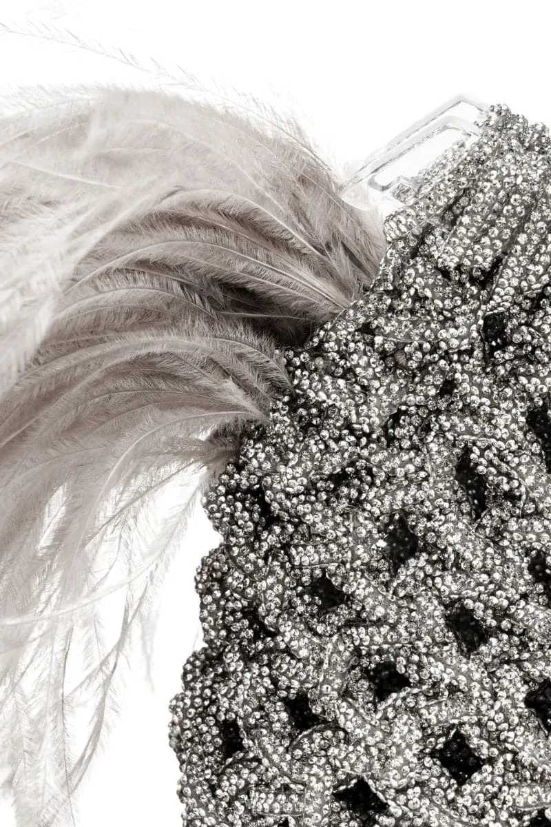 CRYSTAL DIAMOND PLUMES CLUTCH BAG