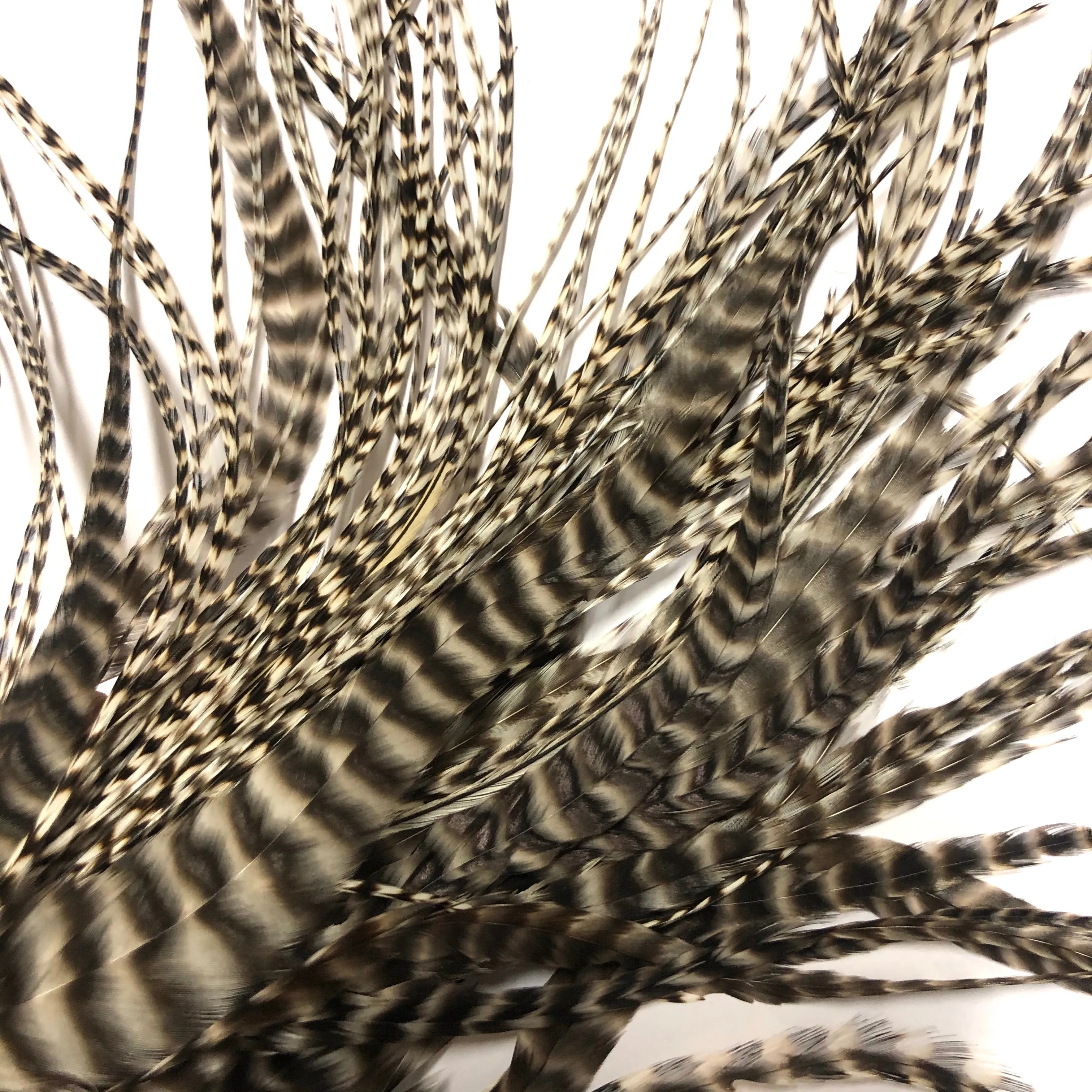 Natural Hair Grizzly Rooster Feather Extensions & Micro Beads x 5 pcs - 6-8" Short