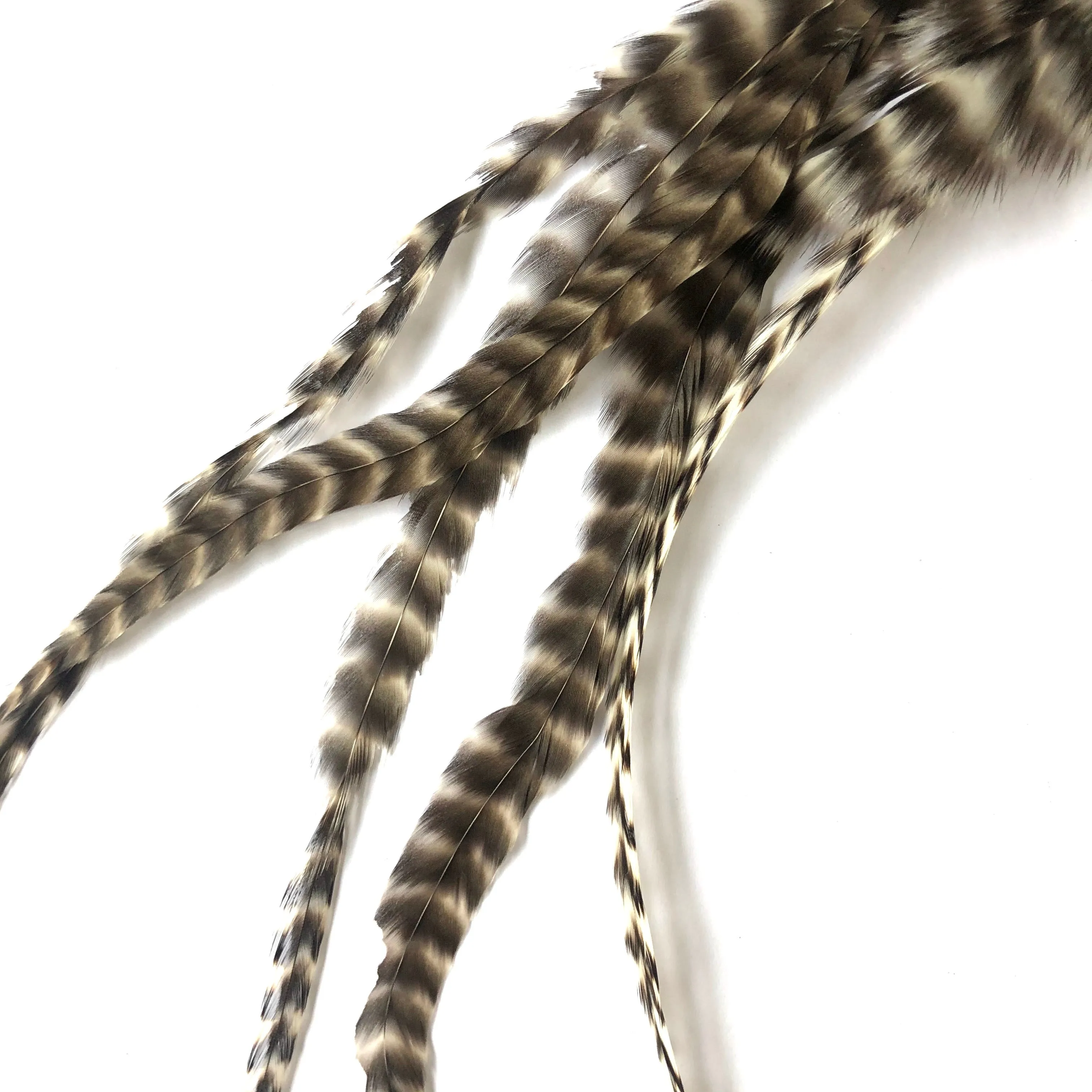 Natural Hair Grizzly Rooster Feather Extensions & Micro Beads x 5 pcs - 6-8" Short