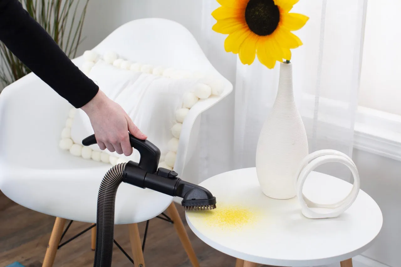 Simplicity Allergy Upright Vacuum With Height Adjustment
